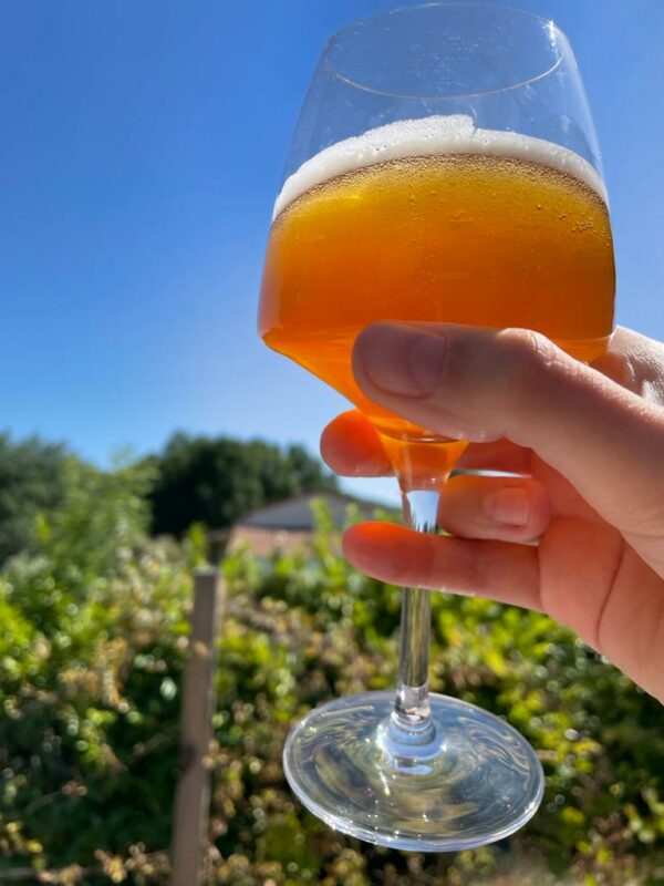 Bière et ciel